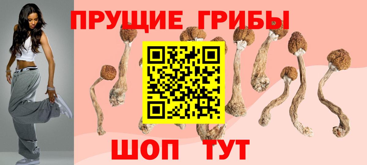 Псилоцибиновые грибы Psilocybine cubensis  Вход с VPN  Кузнецк 